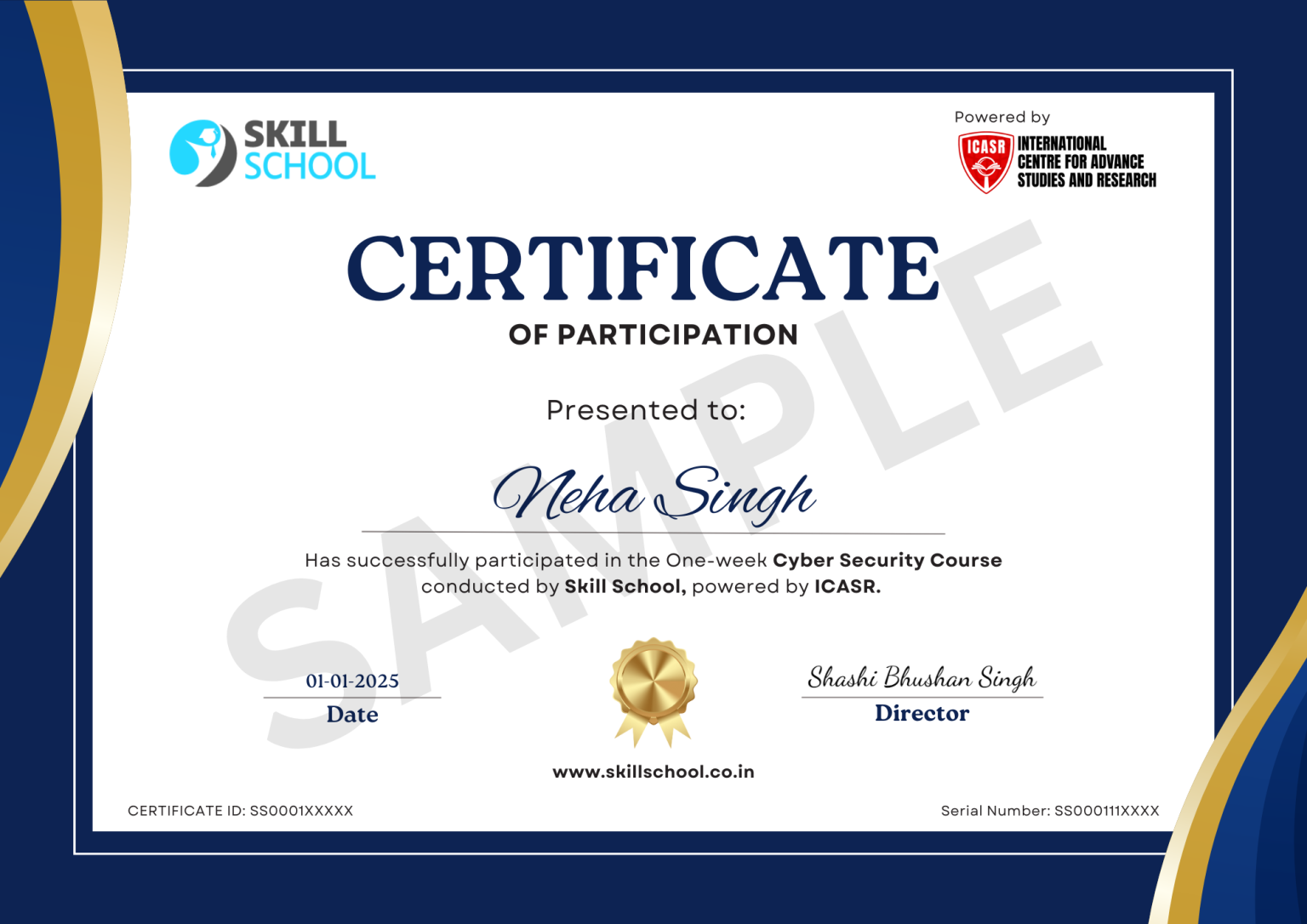 Free Cybersecurity Online Course with Certificate 2026 - SkillSchool